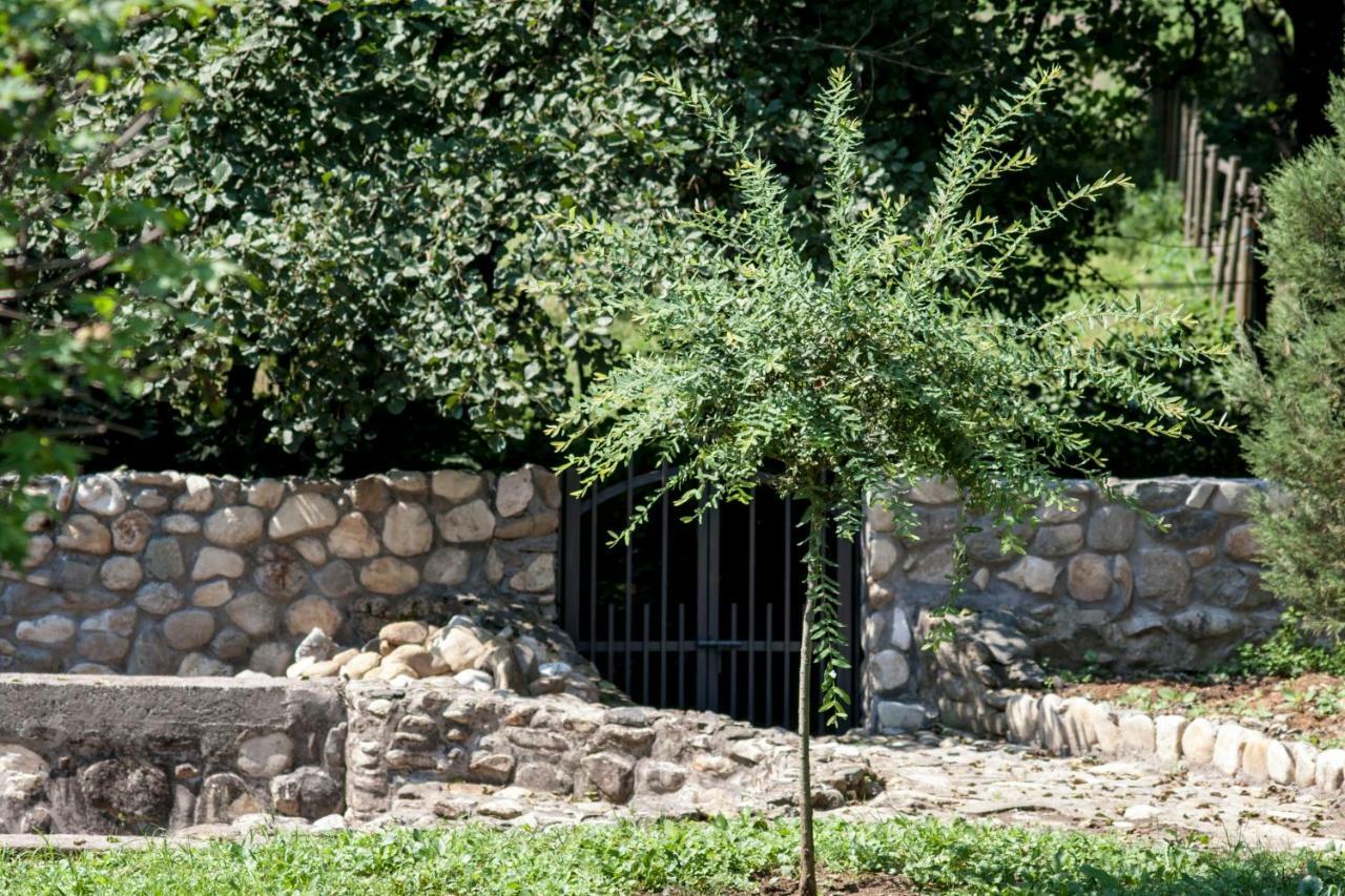 Guesthouse Silvani Krusevac Luaran gambar