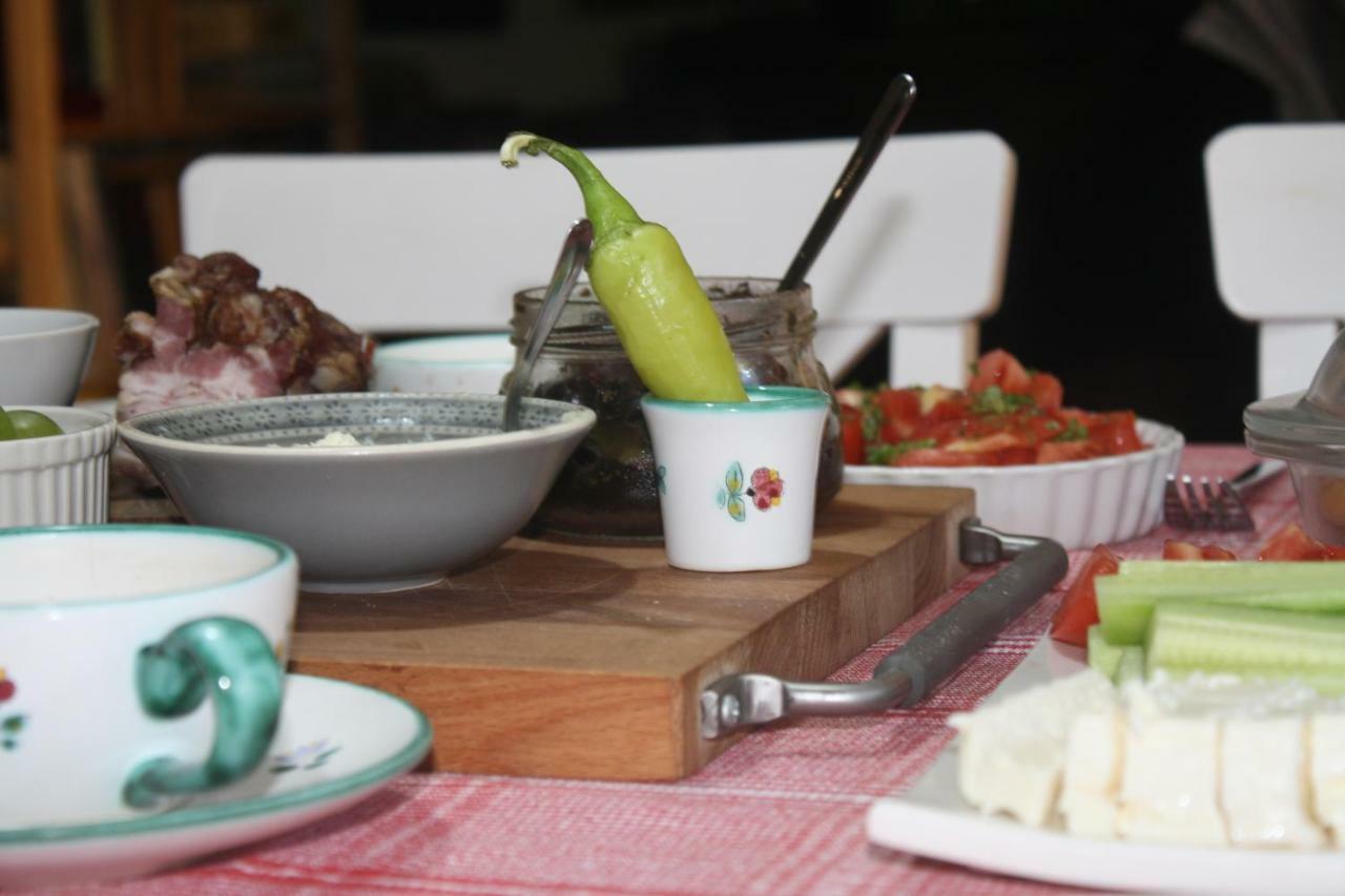 Guesthouse Silvani Krusevac Luaran gambar